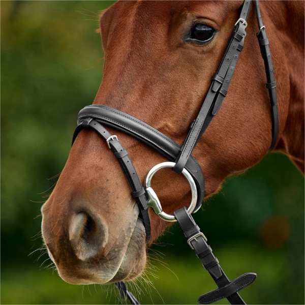 2026 Dublin Padded Flash Bridle 1031497 - Black